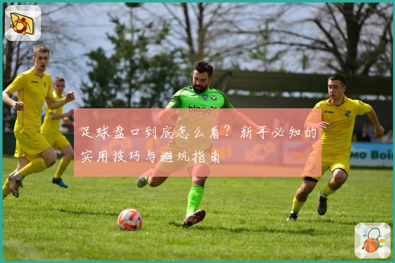 足球盘口到底怎么看？新手必知的实用技巧与避坑指南