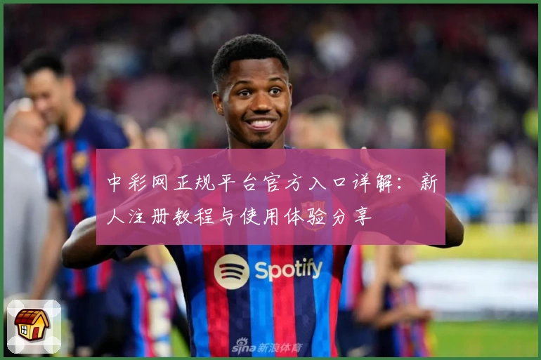 中彩网正规平台官方入口详解：新人注册教程与使用体验分享
