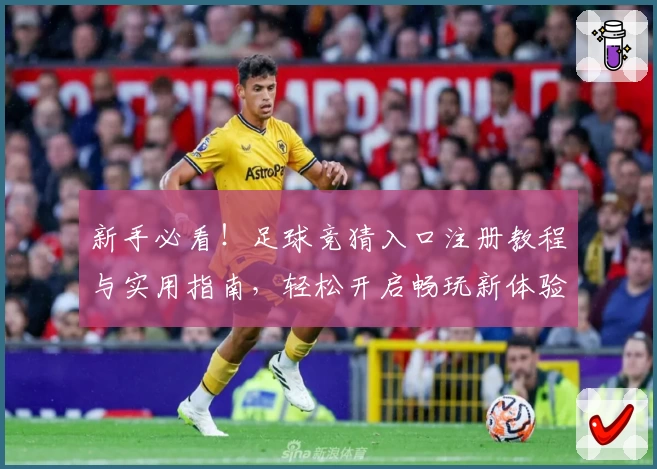 新手必看！足球竞猜入口注册教程与实用指南，轻松开启畅玩新体验