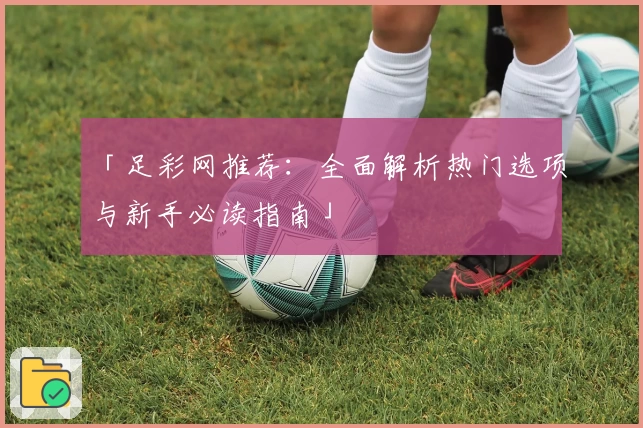 「足彩网推荐:全面解析热门选项与新手必读指南」