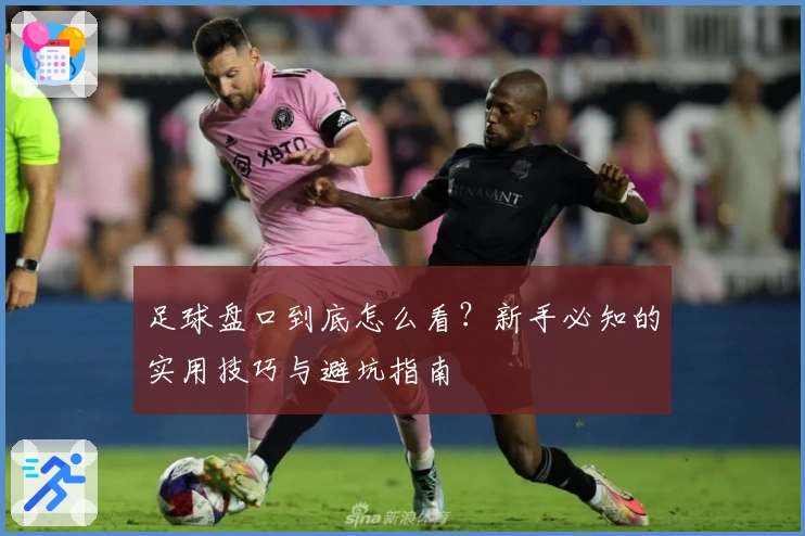 足球盘口到底怎么看？新手必知的实用技巧与避坑指南