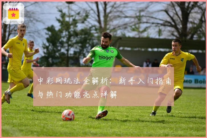 中彩网玩法全解析：新手入门指南与热门功能亮点详解